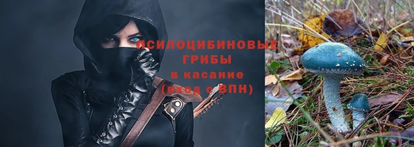 а пвп мука Надым